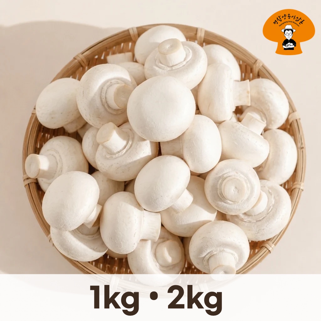 평창 양송이 1kg 2kg 산지직송 가정용 식당용 국산 - 상품 이미지