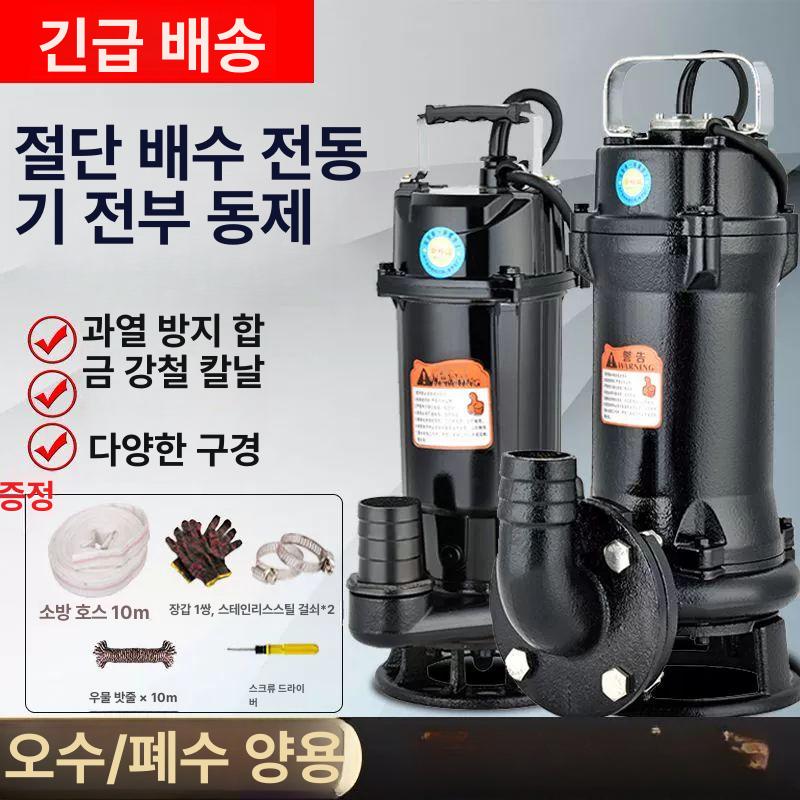심정모터 가압펌프 양수 가정용 수중펌프 벨트 관개 지하수모터 자흡식 수영장 태양광 - 상세 이미지 2