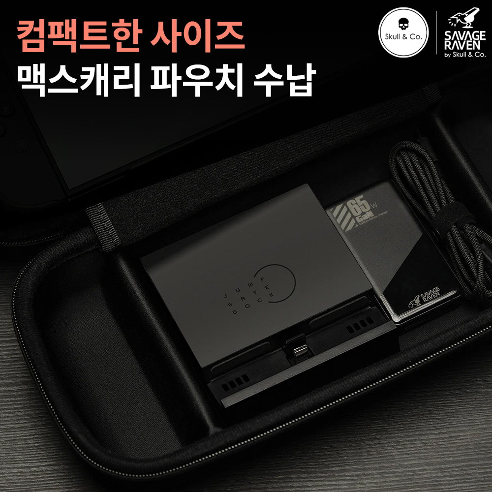 닌텐도 스위치2 미니독 스컬앤코 점프게이트 프로 독 TV연결 이미지 6