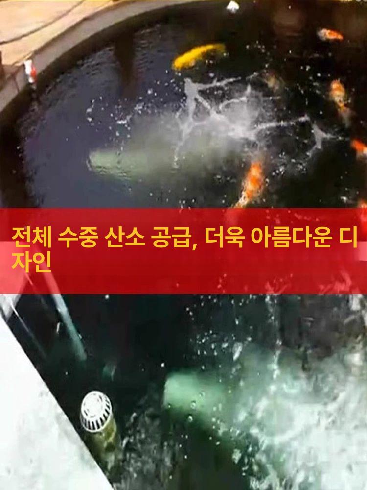 수조용 펌프 에어 고성능 산소공급기 수족관 기포기 연못용 산소발생기 버블 어항용 - 상세 이미지 2