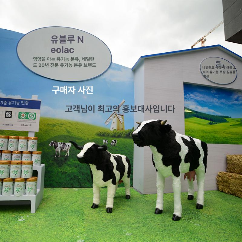 젖소 모형 피규어 장난감 장식 동물농장 교육용 체험용 소프트동물 동물학습 - 상세 이미지 4