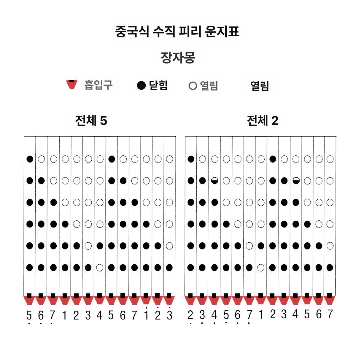 전통 플루트 연습용 교육용 입문용 팬플룻 목관악기 취미용 초보자 학생 민속 - 상세 이미지 2