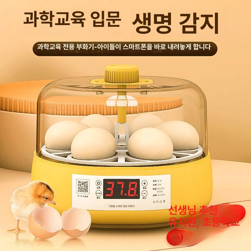달걀 계란부화기 병아리부화기 오리 조류 닭 메추리 알 온도조절 부화용 제어 전기 - 상세 이미지 2
