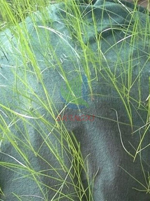 사면보호 생태포대 방수 토목용 경사면 제방 녹화 강화형 홍수 옹벽 - 상세 이미지 4