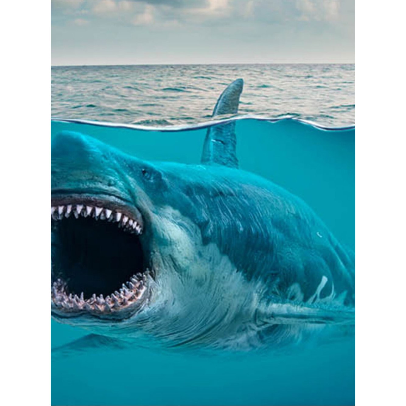 Tarbosaurus 메갈로돈 실내놀이 51특티 10 용로사나 공룡왕 최강왕 성장 피규어 10 메갈로돈 - 상세 이미지 2