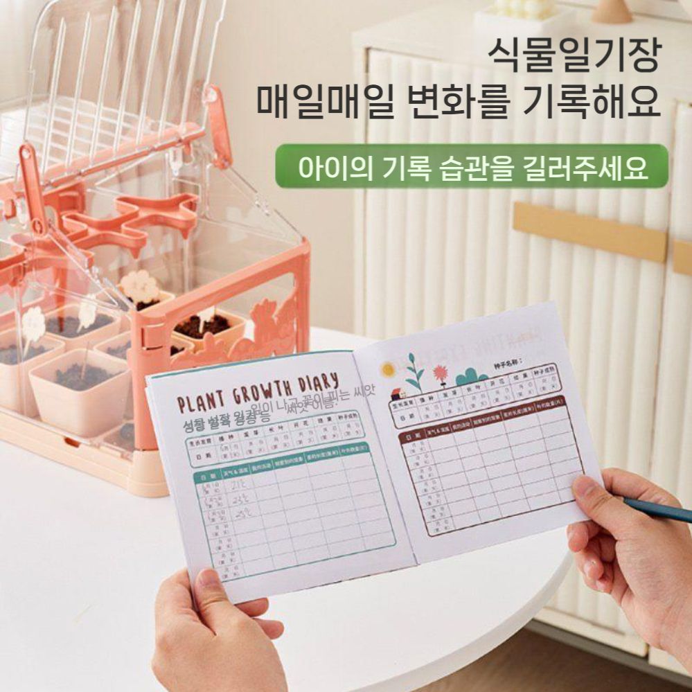 모종 키우기 텃밭 식물 묘목 트레이 재배 키트 세트 종자(1) - 상세 이미지 4