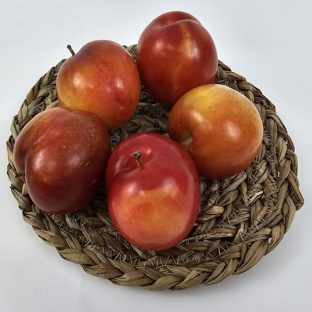 제철 새콤달콤 햇 하우스 자두 산지직송 풍부한과즙 제철과일 자두 - 상세 이미지 2