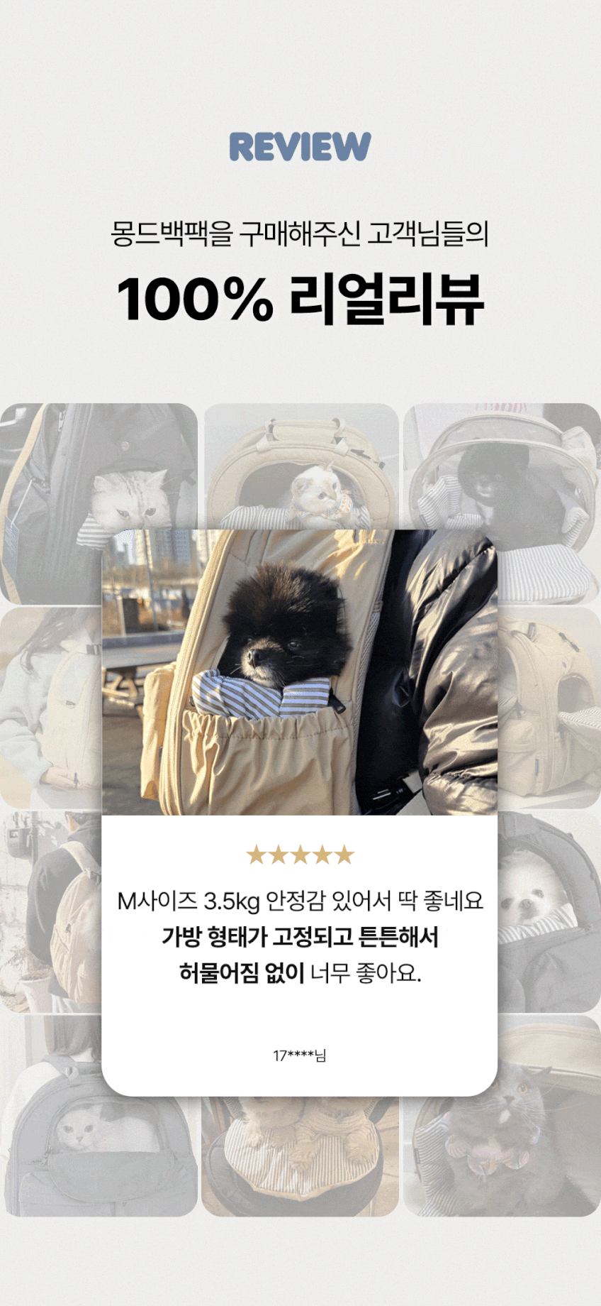 강아지 이동가방 애견 백팩 소형견 고양이 펫츠랜드 몽드백팩 M 판매처 상세 정보 이미지 1