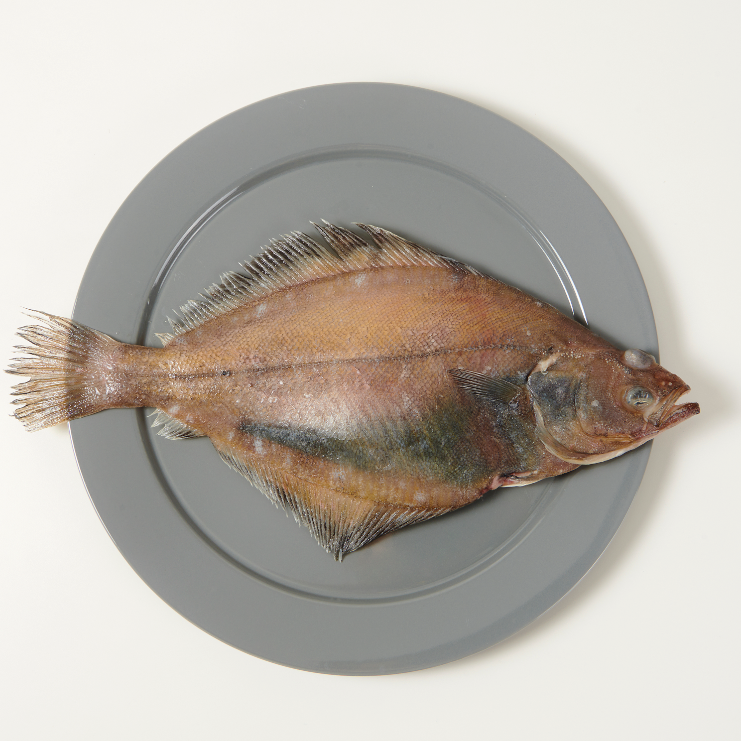 손질 용가자미 500g 통영 욕지도·매물도 연안 - 상품 이미지