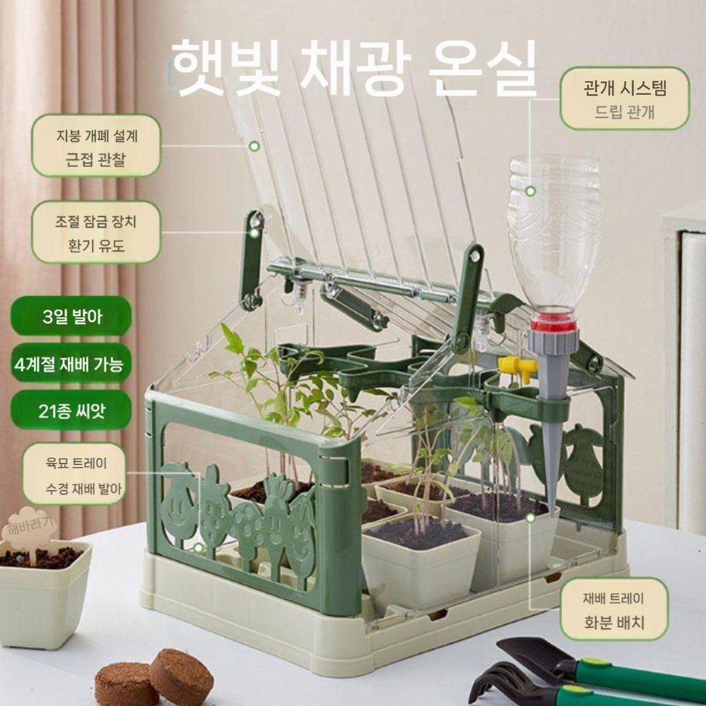 모종 키우기 텃밭 식물 묘목 트레이 재배 키트 세트 종자(1) - 상세 이미지 2