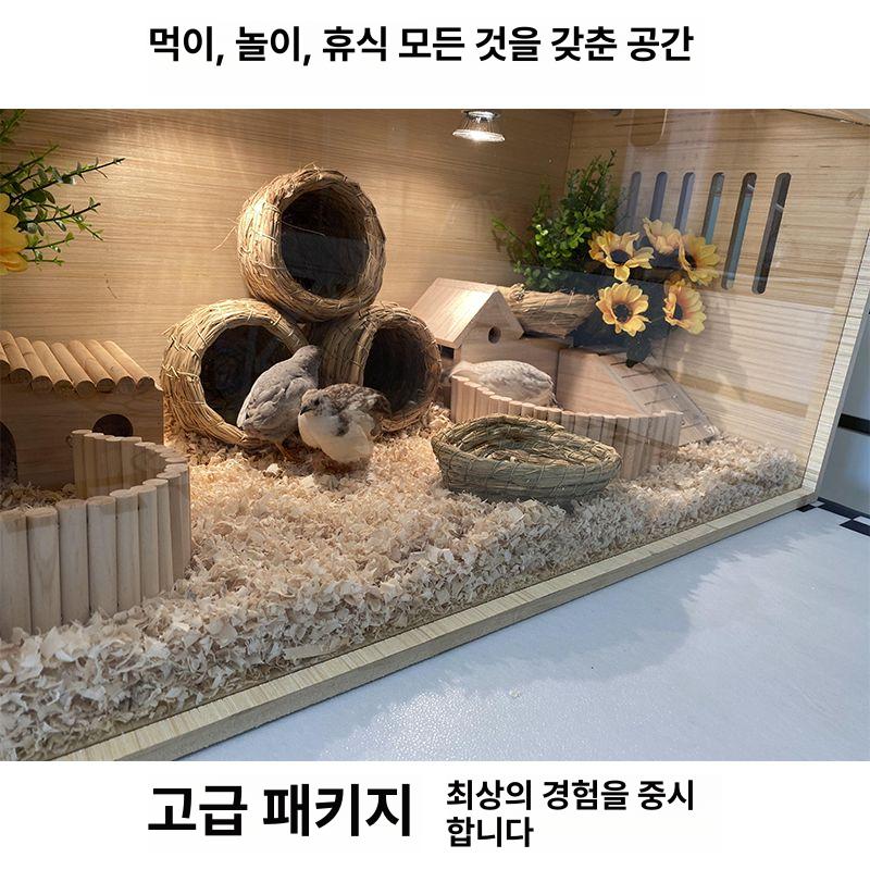 햄스터 케이지 하우스 원목 아크릴 골든 빌라 사육장 박스 특대형 조명 사이즈 이중문 - 상세 이미지 4