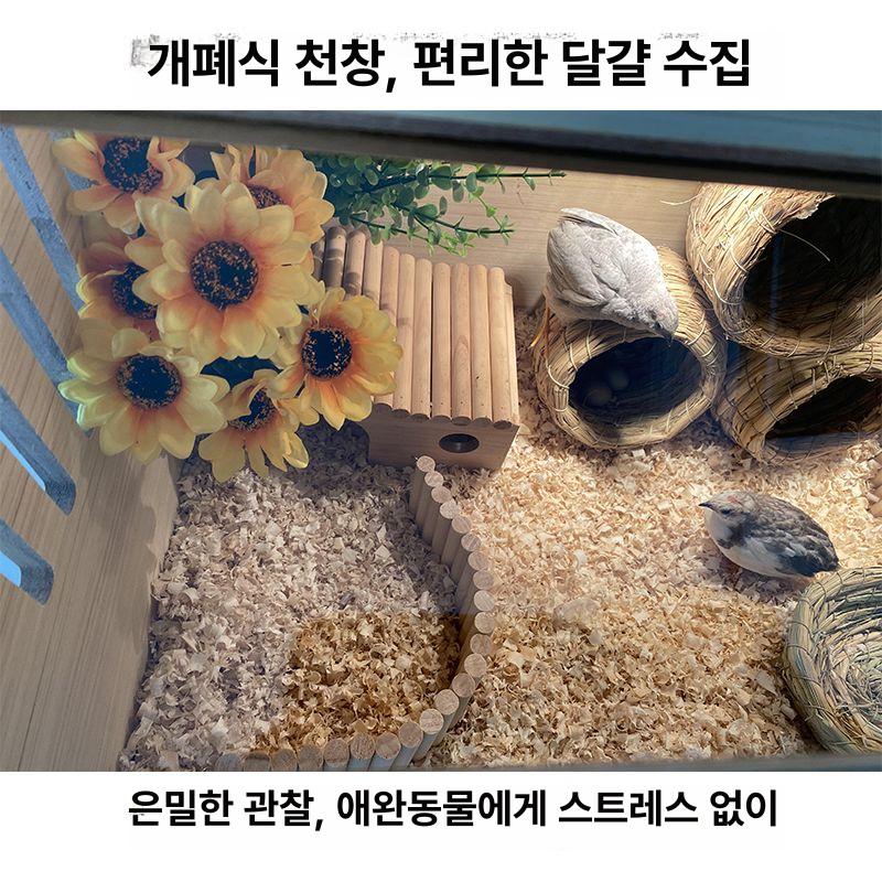 햄스터 케이지 하우스 원목 아크릴 골든 빌라 사육장 박스 특대형 조명 사이즈 이중문 - 상세 이미지 2