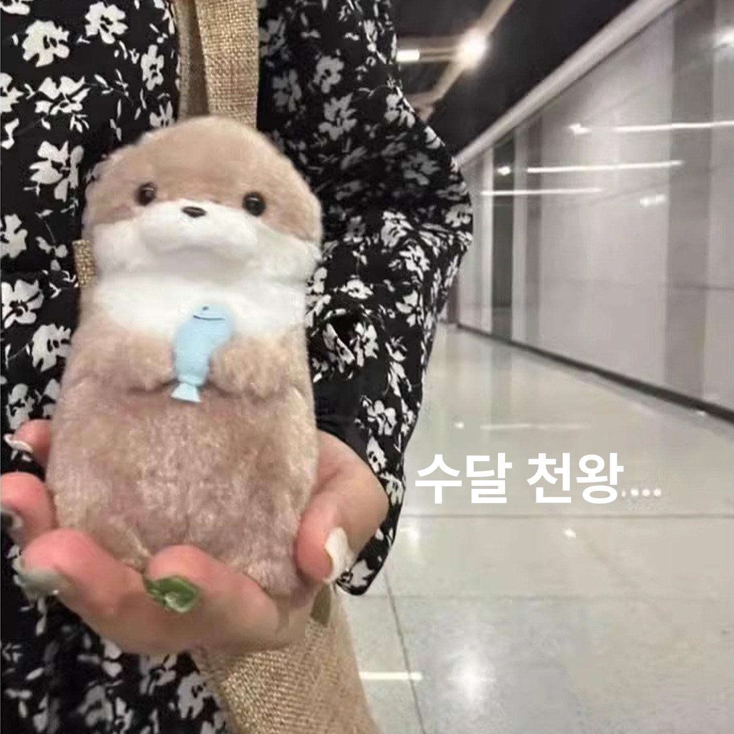 유니크한 감성 수달 인형 미니 특이한 열쇠고리 키링 1개입 - 상세 이미지 3