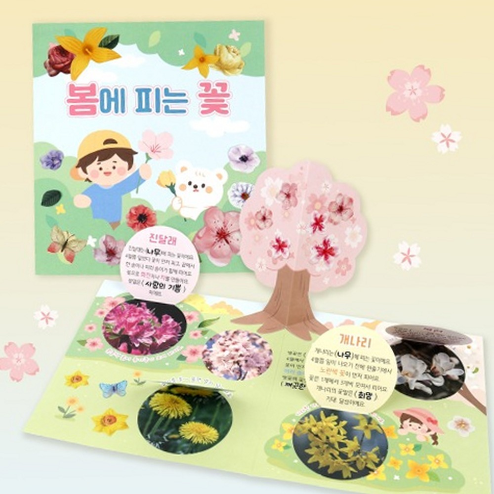 초등저학년계절학습입체북아트 방과후미술꽃탐색활동팝업북 창의체험활동봄미술북아트 - 상품 이미지