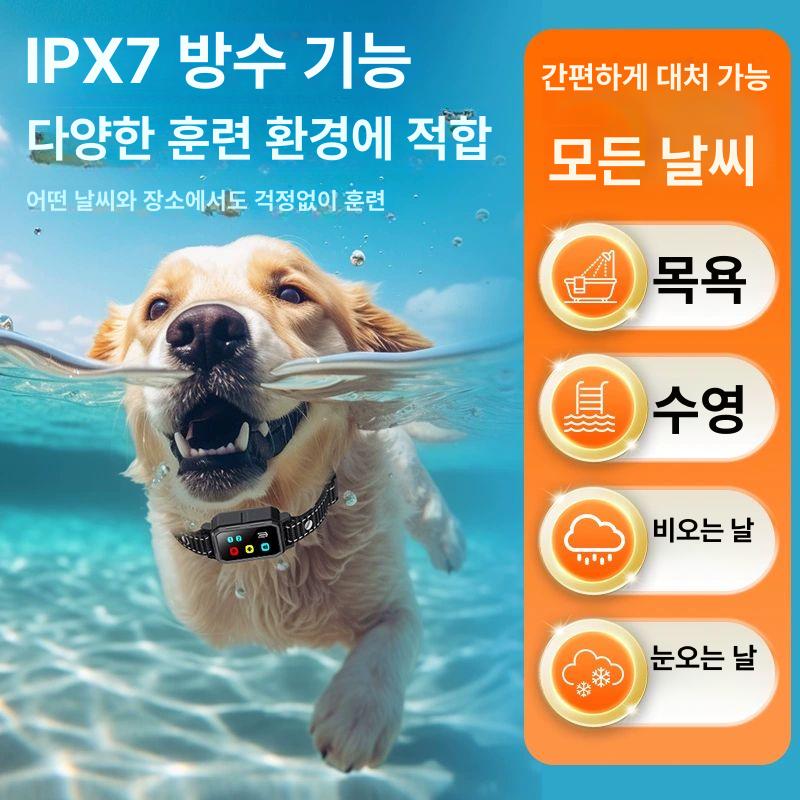 강아지 짖음방지 전자목줄 짖음 방지기 - 상세 이미지 5