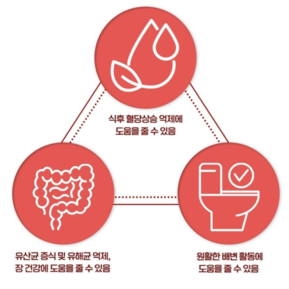 웰러스 혈당 케어 코로솔산 유산균 60캡슐 2개월 바나바잎추출물 프로바이오틱스 장건강 - 상세 이미지 2
