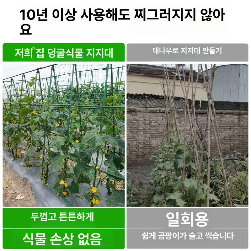 오이 지지대 철제 원예 능소화 장미 울타리 포도넝쿨 기본형 정원 아이비 넝쿨식물 - 상세 이미지 3