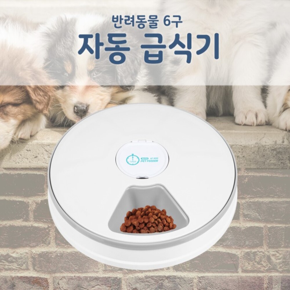 반려동물 자동급식기 애견 강아지 애묘 고양이 6구 자동급식기 이미지 8