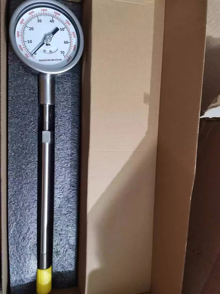 고온 경질 막대 용융 압력 게이지 PT124Y-610-25MPA-M22-250