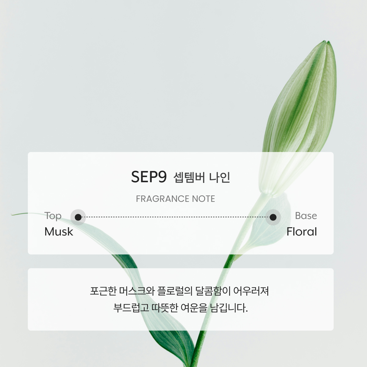 이아프 섬유유연제 eaf 트라이얼키트 3종 - 상세 이미지 4