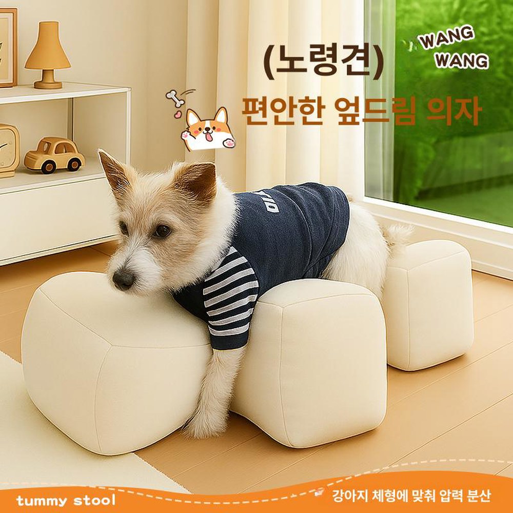 노령견보조의자 기립보조쿠션 허리보호대 가죽 화이트 고령견 발톱 밀키화이트 1 노견 쭈그렁 고양이가 귤색 쥐기 S - 상품 이미지