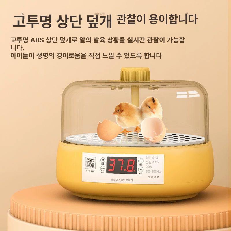 달걀 계란부화기 병아리부화기 오리 조류 닭 메추리 알 온도조절 부화용 제어 전기 - 상세 이미지 3