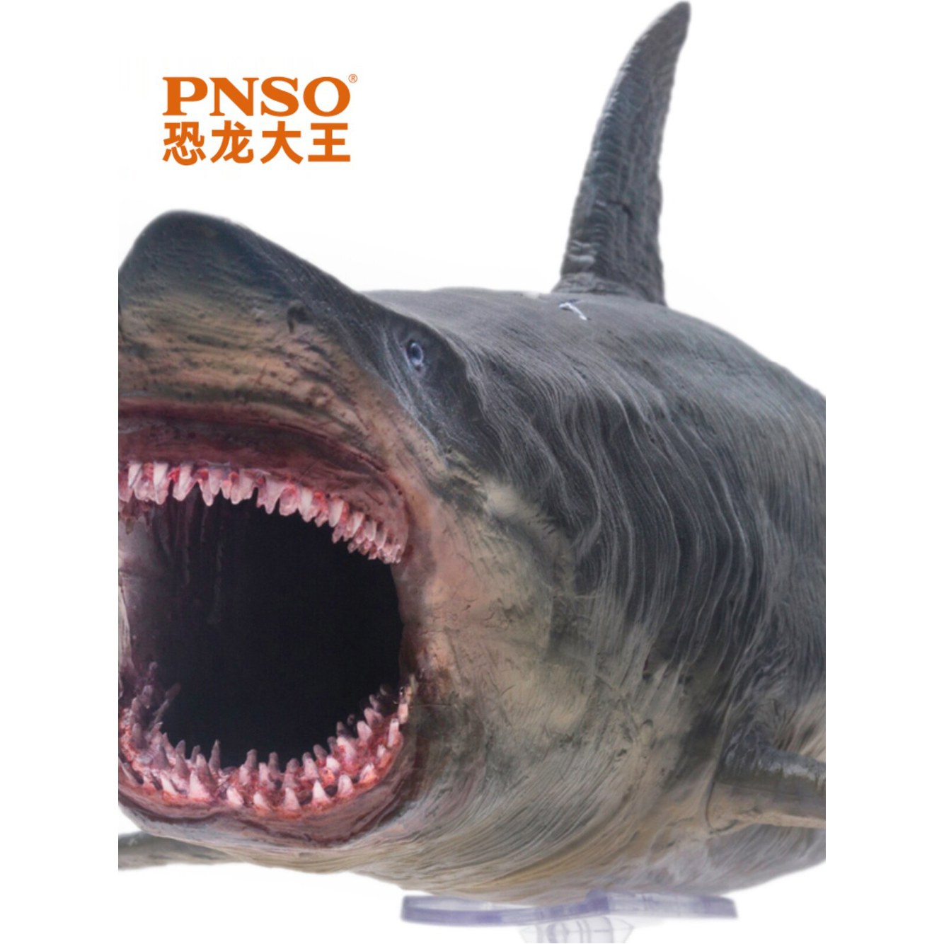 Tarbosaurus 메갈로돈 실내놀이 51특티 10 용로사나 공룡왕 최강왕 성장 피규어 10 메갈로돈 - 상세 이미지 3