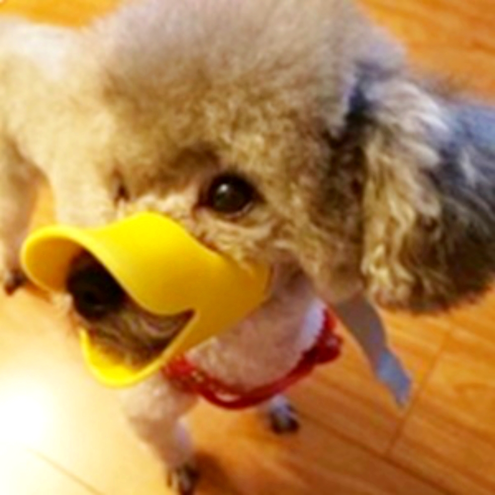 소형견용짖음방지강아지입마개 실리콘입질방지반려견입마개 오리부리산책필수 - 상품 이미지