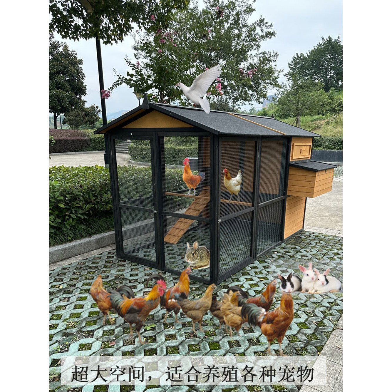 닭집 케 병아리 색상 사이즈 닭장 프레임 플러스 산란통 블랙 메추리 사육장 원목색 이중 토끼장 - 상세 이미지 3