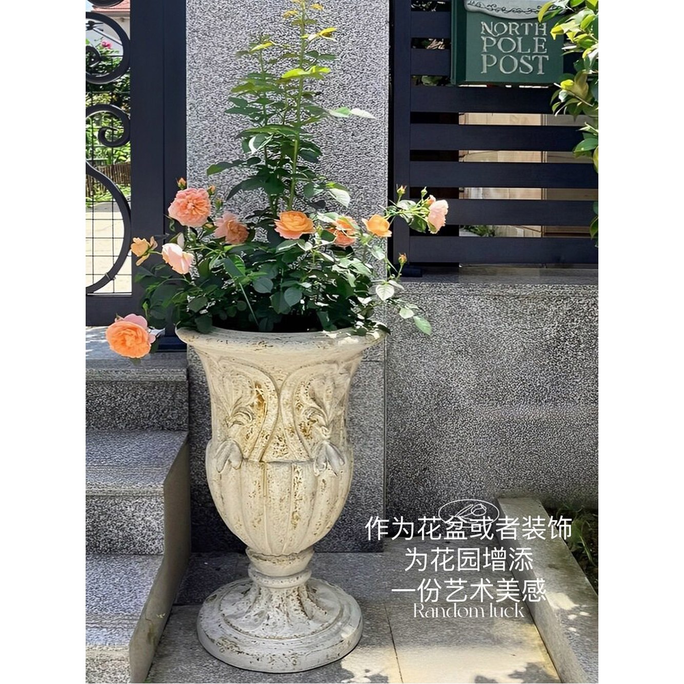 대형화분 대야 토분 기타 토기 화분 발코니 1 트럼펫 엔틱 분갈이 술잔 트럼펫 술잔 대야 1 기타 - 상세 이미지 3