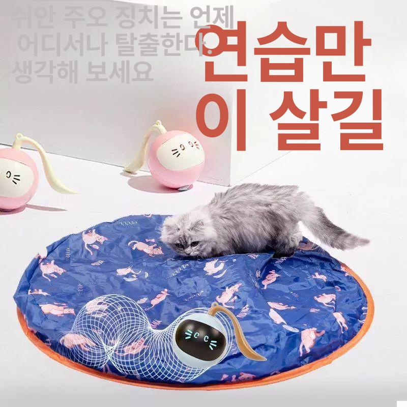 미니 고양이장난감공 털실공 볼 쥐돌이 고양이방울공 공놀이 방울장난감 고양이공 - 상세 이미지 3