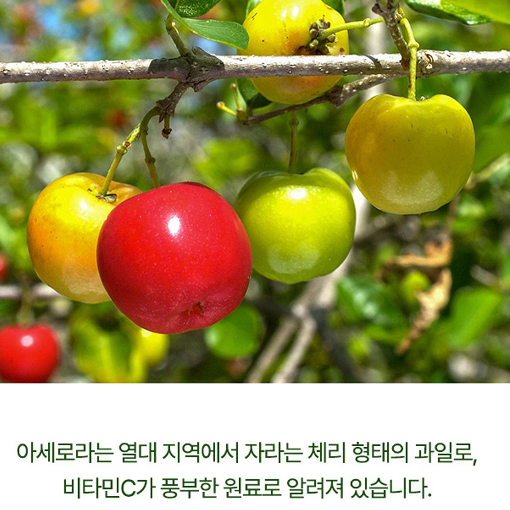 고함량 그린 아세로라 비타민C 아세노라 열매 농축분말 100% 60정 2통 - 상세 이미지 4
