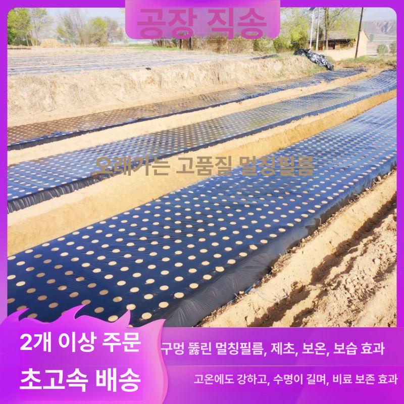 유공 멀칭비닐 제초 방초 텃밭 매트 덮개 야채 농사용비닐 농업 농자재 원예 재배용 - 상세 이미지 4