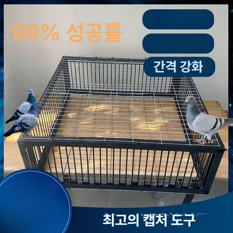 철제 동물 포획기 야외 유해조류 비둘기 퇴치 그물망 포획틀 새덫 사냥 도구 방제용품 - 상세 이미지 3