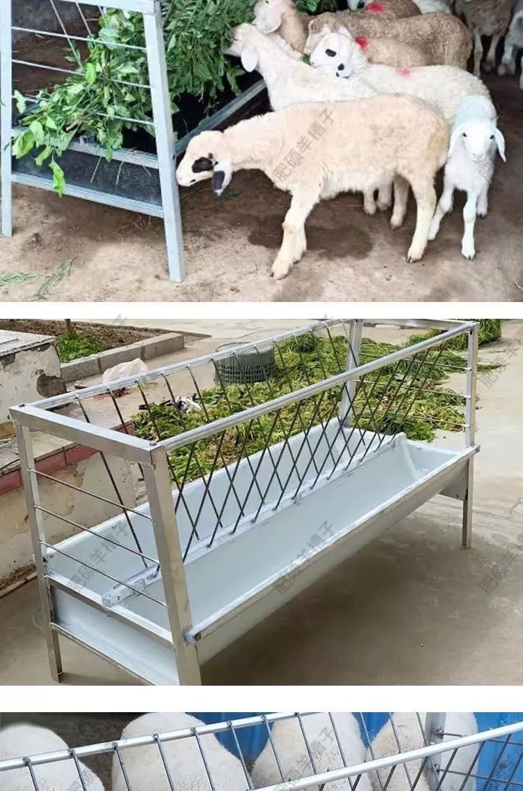 목장 먹이통 급여기 밥통 가축 축산 돼지 여물통 염소사료통 양돈장 송아지 길이 사육 - 상세 이미지 2