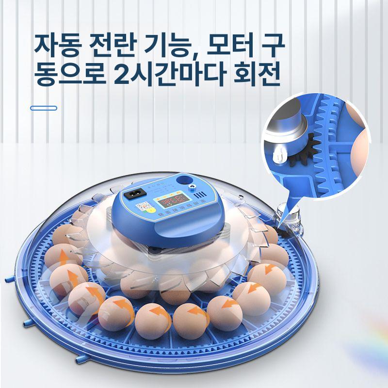 스마트 자동부화기 배터리 유정란 오리 부화알 전원 인큐베이터 조류 온도 가정용 - 상세 이미지 4