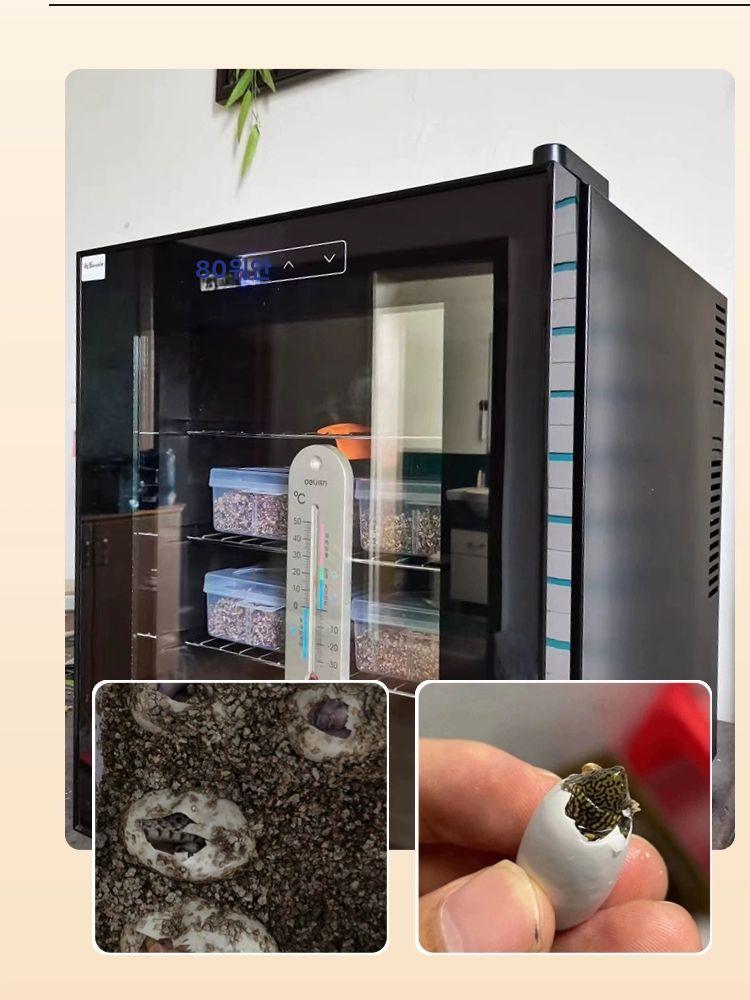 파충류 펫 부화기 온습도조절 자동온도 게코 거북이 도마뱀 뱀 곤충 사육장 인큐베이터 보온 캐비닛 - 상세 이미지 4