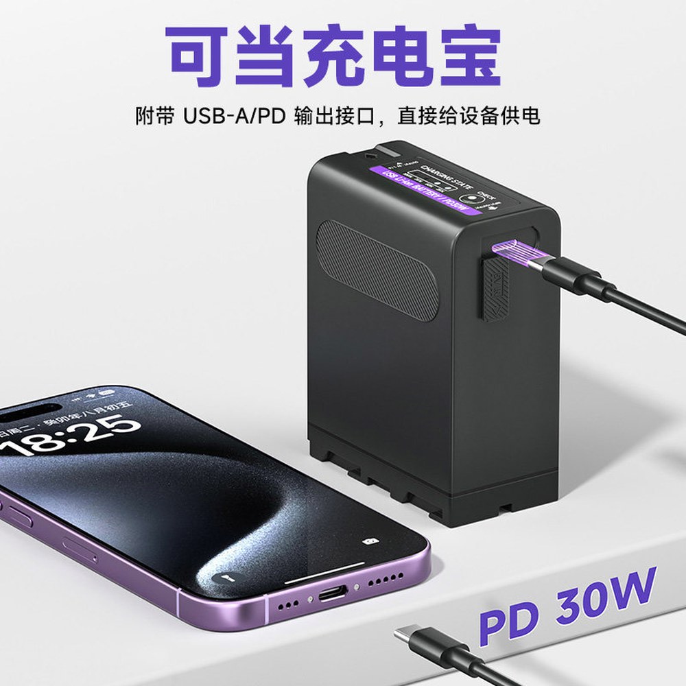 POWER PLM 11800mAh 호환 F990 TRV35 표시기 CCD 배터리 FD91 LED PD30W MVC 타입 F980 NP 100 충전 1 2홈 디지털 충전기 - 상세 이미지 3