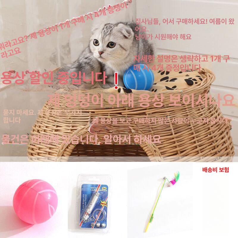 라탄 고양이집 반려동물하우스 숨숨집 여름 애완동물 고양이쉼터 동굴집 반려동물가구 - 상세 이미지 3