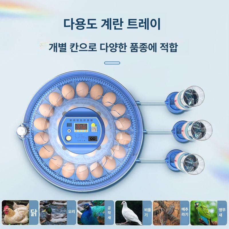 스마트 자동부화기 배터리 유정란 오리 부화알 전원 인큐베이터 조류 온도 가정용 - 상세 이미지 2