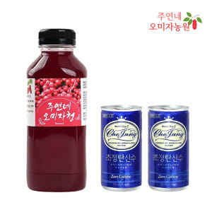 주연네 인제 수제 오미자청 원액 액기스 500ml 1병 + 탄산수 190... 맛있게 먹은 솔직 후기 - 상품 이미지 1