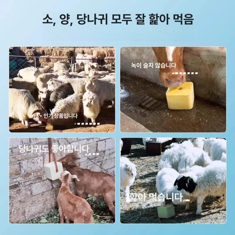 염소소금 소금벽돌 미네랄블럭 가축용 송아지 염분 축사용 핥기 핥는 보충제 - 상세 이미지 2