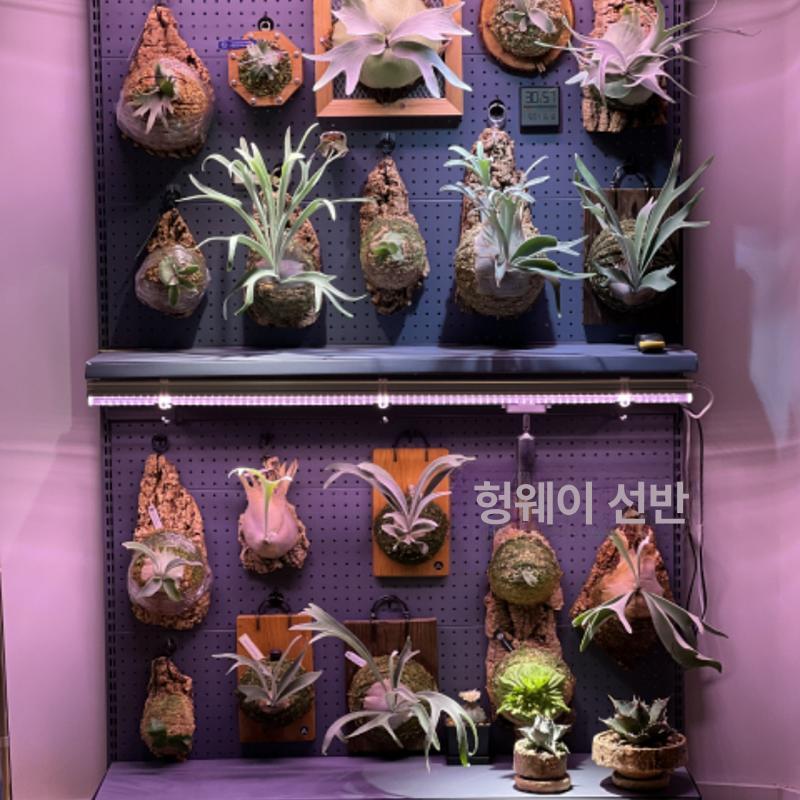 타공판 벽면 수납 걸이 공구 보관함 디스플레이 거치대 홀더 선반 정리용품 - 상세 이미지 5