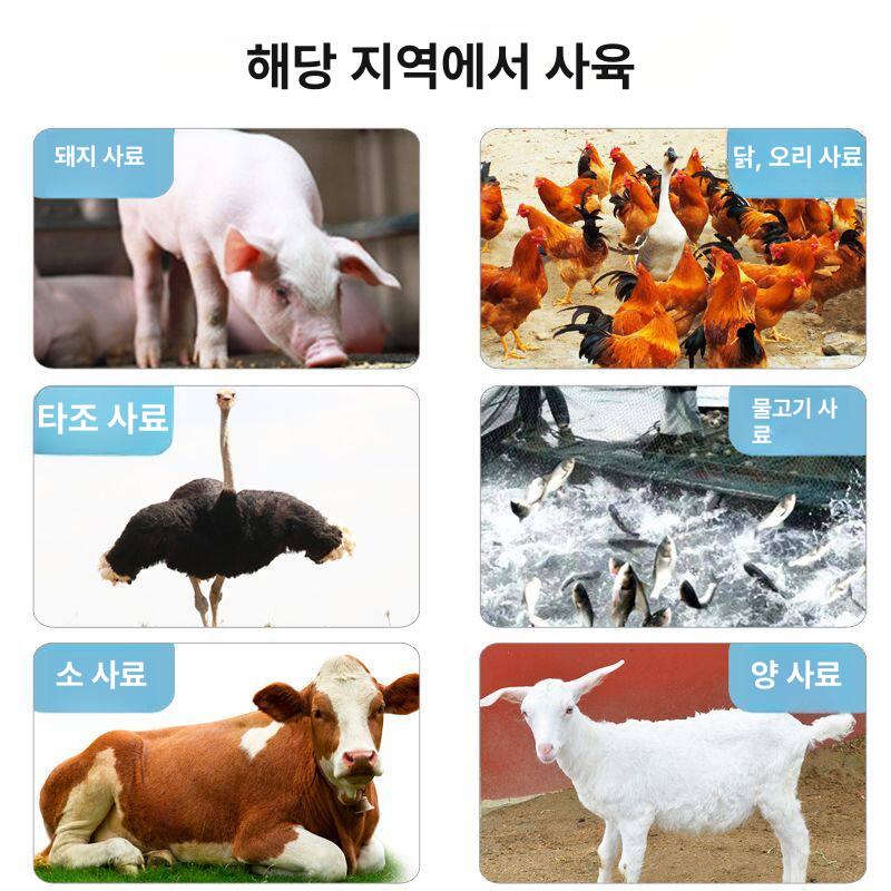 제조기 분쇄기 축사 볏짚 커터 사료 가정용 건초 여물 농업용파쇄기 - 상세 이미지 5