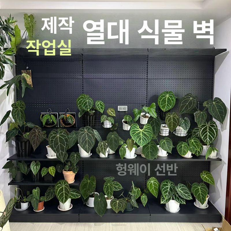 타공판 벽면 수납 걸이 공구 보관함 디스플레이 거치대 홀더 선반 정리용품 - 상세 이미지 3