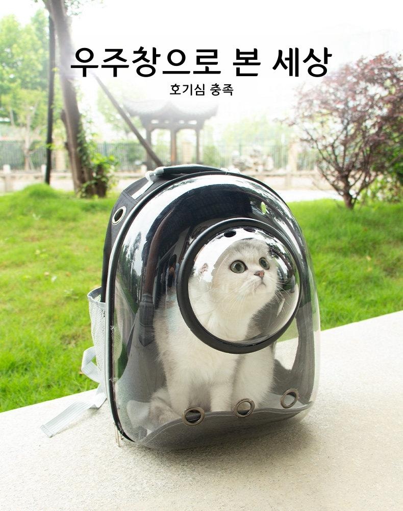 고양이 이동장 백팩 넉넉한 수납 통기성 투명 블랙 돔 12홀 - 상세 이미지 2