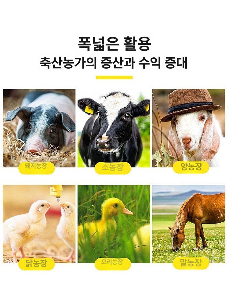 양계장 온열등 축사보온등 농장 보온갓 온열전구 온도조절 난방램프 사육 적외선 - 상세 이미지 4