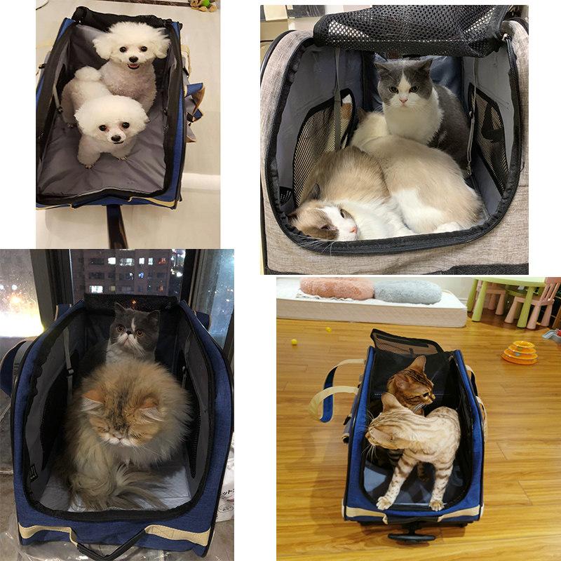 펫캐리어 고양이 강아지 애완동물 이동식 휴대용 통풍 숨숨이 여행용 외출 가방 백팩 보관함 편한 어깨 이미지 6