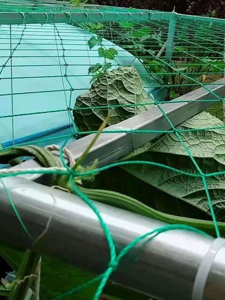 원예용넝쿨망 식물넝쿨망 오이망 농업용 텃밭그물망 지주대 농자재 재배망 식물지지대 - 상세 이미지 4