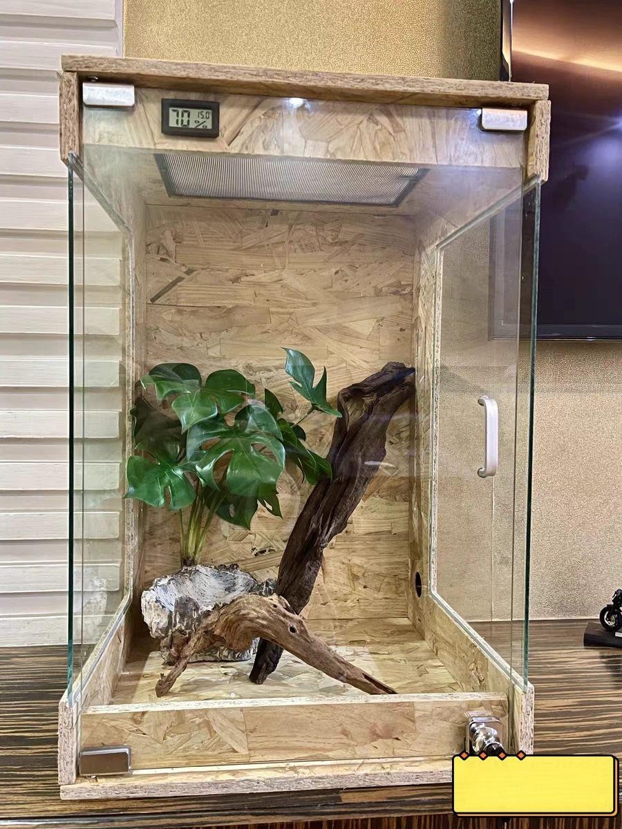 하우스 파충류사육장 애완용 집 거북이 케이지 온도조절 키우기 테라리움 뱀 조경 - 상세 이미지 2